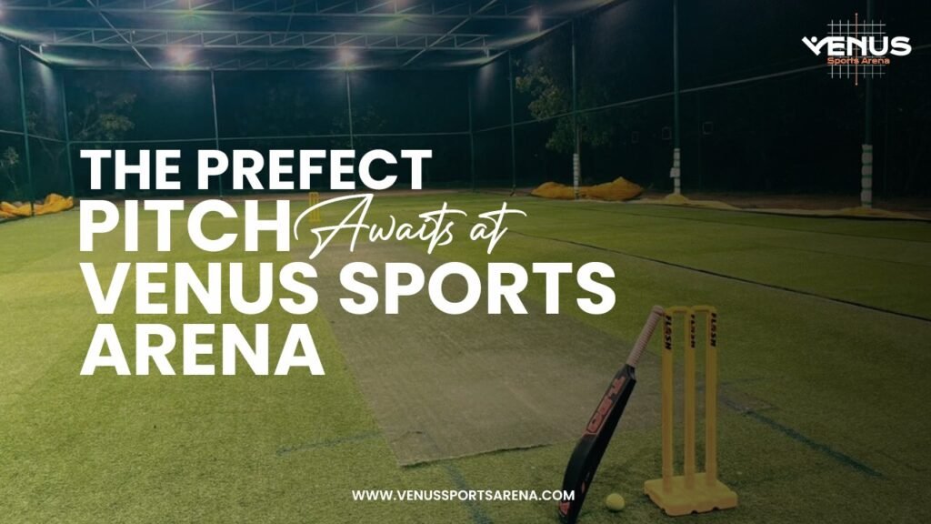 Cricket players training on artificial cricket pitch at Venus Sports Arena under night floodlights